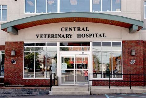 central vets palmerston north